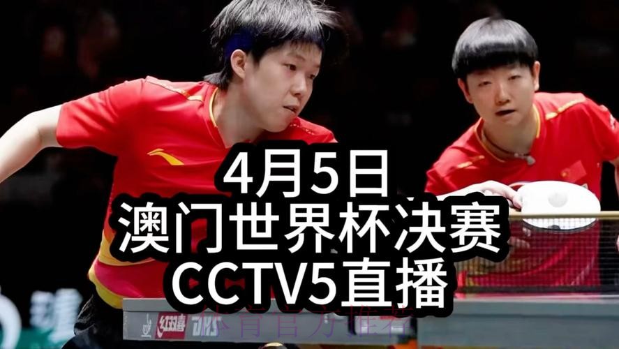全程直播世界杯乒乓球精彩赛事